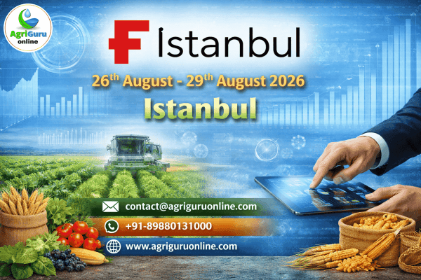 F Istanbul Kenya 2026