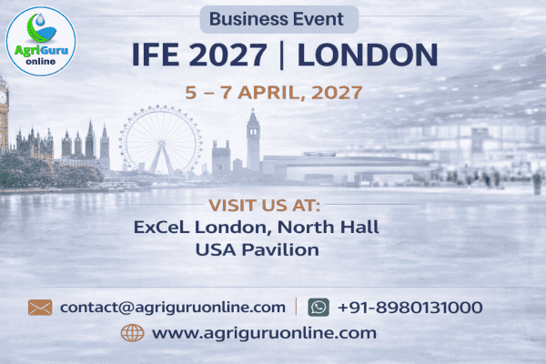 IFE London 2027