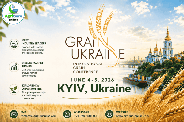 Grain Ukraine 2026