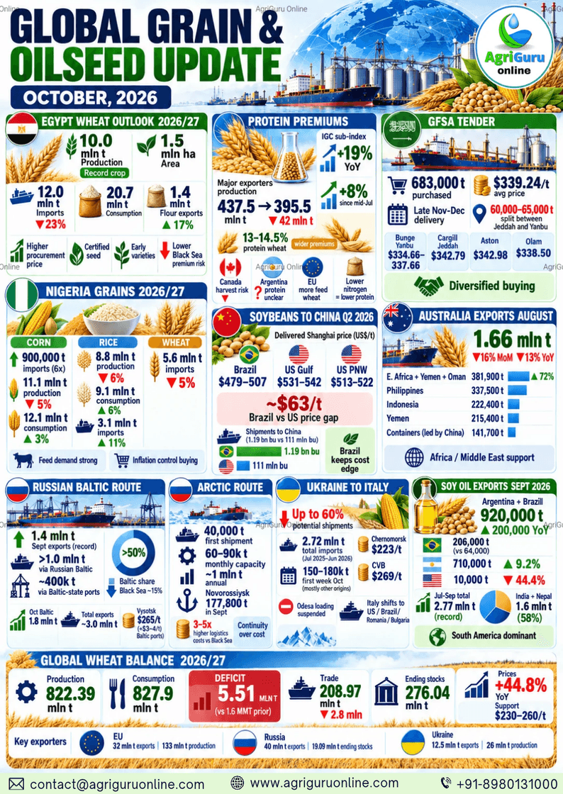 Global Grain & Oilseed Update October 2026 - Price & Deficit Trends | AgriGuru Online