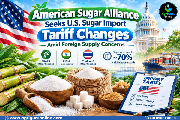 American Sugar Alliance Seeks U.S. Sugar Import Tariff Changes Amid Foreign Supply Concerns