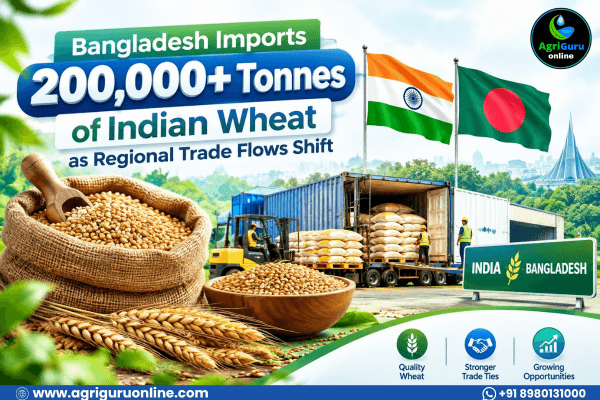 Bangladesh Imports 200,000+ Tonnes of Indian Wheat as Regional Trade Flows Shift