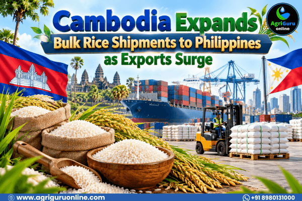 Cambodia Expands Bulk Rice Shipments to Philippines as Exports Surge