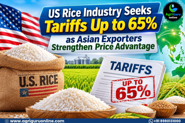 US Rice Industry Seeks Tariffs Up to 65% as Asian Exporters Strengthen Price Advantage