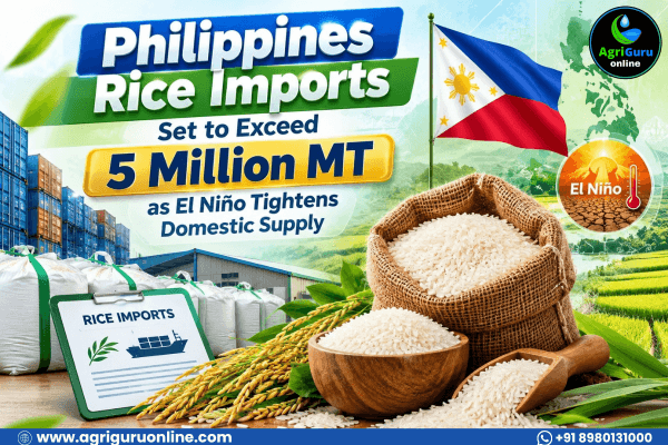 Philippines Rice Imports Set to Exceed 5 Million MT as El Niño Tightens Domestic Supply