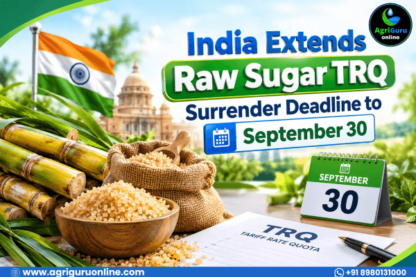 India Extends Raw Sugar TRQ Surrender Deadline to September 30