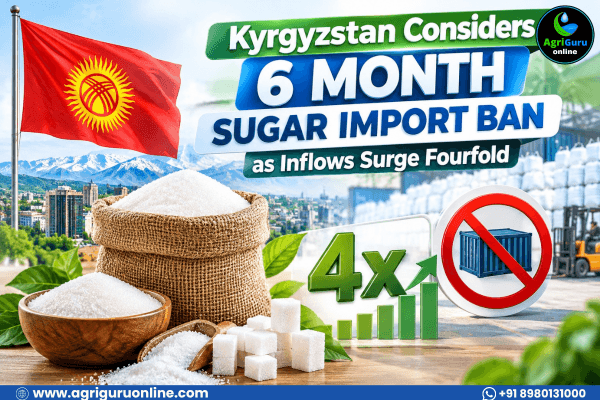Kyrgyzstan Considers 6 Month Sugar Import Ban as Inflows Surge Fourfold