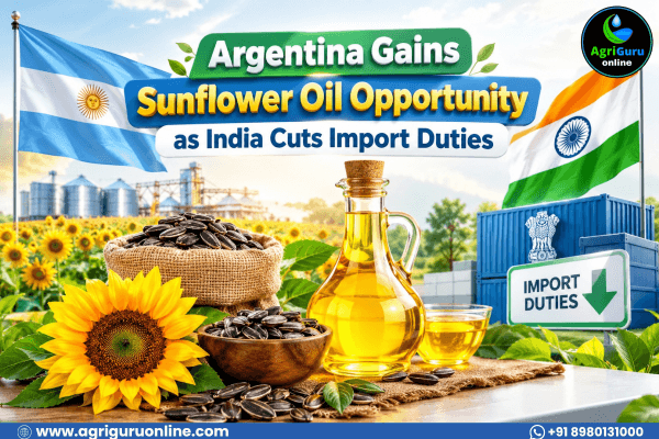 Argentina Gains Sunflower Oil Opportunity as India Cuts Import Duties