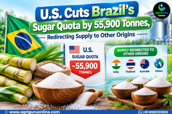 U.S. Cuts Brazil’s Sugar Quota by 55,900 Tonnes, Redirecting Supply to Other Origins
