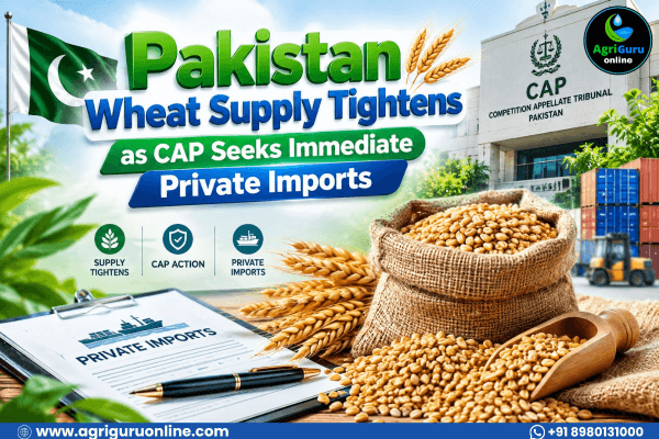 Pakistan Wheat Supply Tightens as CAP Seeks Immediate Private Imports