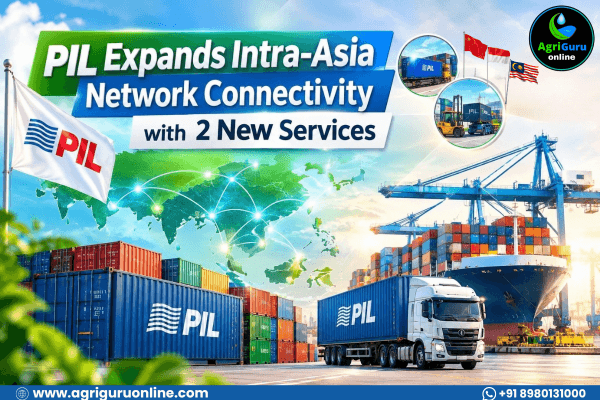 PIL Expands Intra-Asia Network Connectivity with 2 New Services