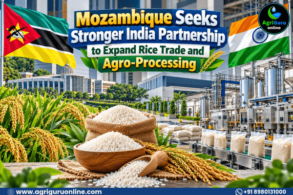 Mozambique Seeks Stronger India Partnership to Expand Rice Trade and Agro-Processing