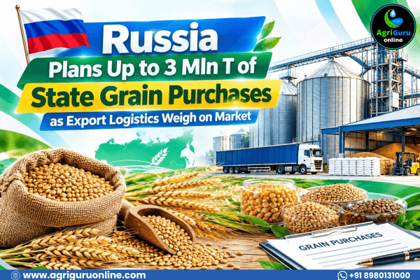 Russia Plans Up to 3 Mln T of State Grain Purchases as Export Logistics Weigh on Market