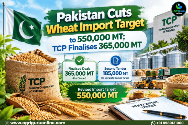Pakistan Cuts Wheat Import Target to 550,000 MT; TCP Finalises 365,000 MT