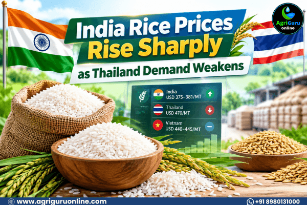 India Rice Prices Rise Sharply as Thailand Demand Weakens