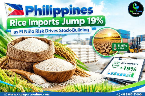 Philippines Rice Imports Jump 19% as El Niño Risk Drives Stock-Building