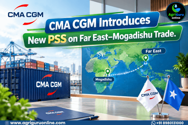 CMA CGM Introduces New PSS on Far East–Mogadishu Trade.
