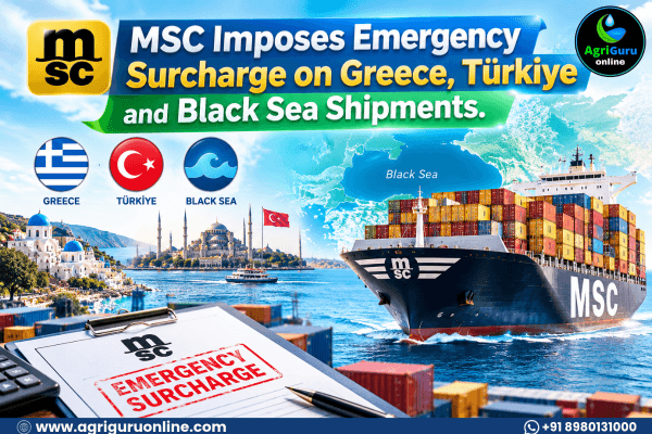 MSC Imposes Emergency Surcharge on Greece, Türkiye and Black Sea Shipments.