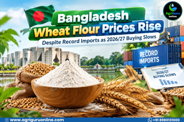 Bangladesh Wheat Flour Prices Rise Despite Record Imports as 2026/27 Buying Slows