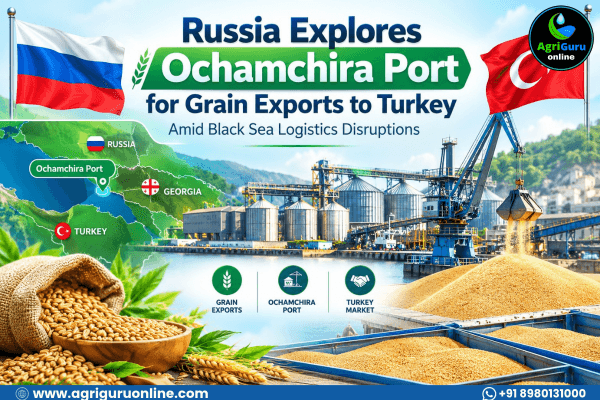 Russia Explores Ochamchira Port for Grain Exports to Turkey Amid Black Sea Logistics Disruptions