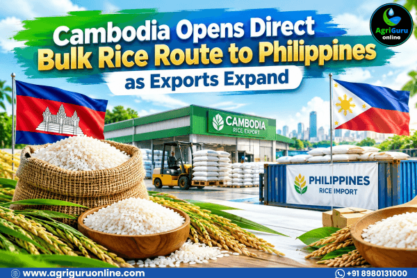 Cambodia Opens Direct Bulk Rice Route to Philippines as Exports Expand