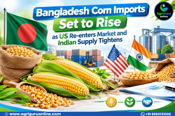 Bangladesh Corn Imports Set to Rise as US Re-enters Market and Indian Supply Tightens