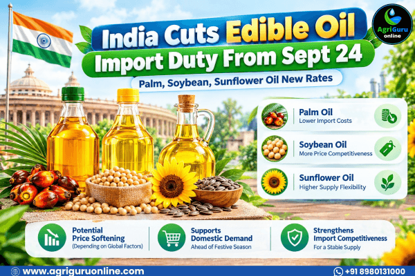 India Cuts Edible Oil Import Duty From Sept 24: Palm, Soybean, Sunflower Oil New Rates