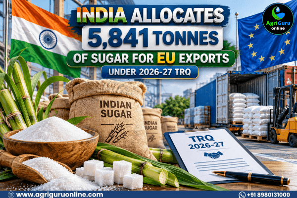 India Allocates 5,841 Tonnes of Sugar for EU Exports Under 2026-27 TRQ