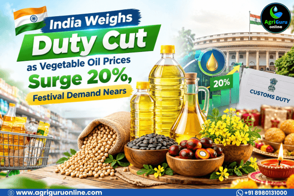 India Weighs Duty Cut as Vegetable Oil Prices Surge 20%, Festival Demand Nears