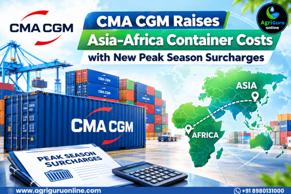 CMA CGM Raises Asia–Africa Container Costs with New Peak Season Surcharges
