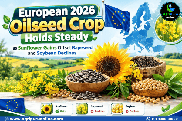 European 2026 Oilseed Crop Holds Steady as Sunflower Gains Offset Rapeseed and Soybean Declines