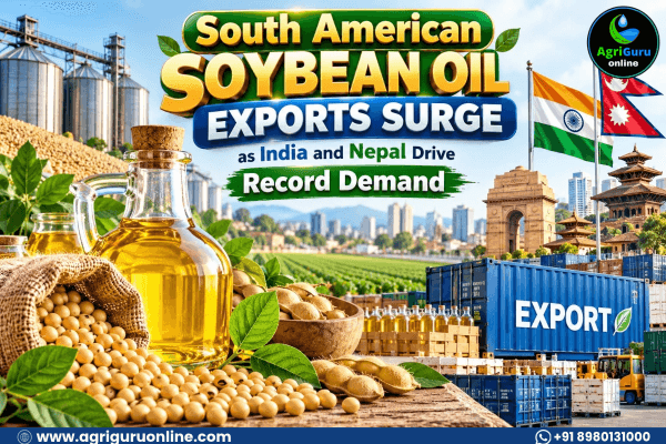 South American Soybean Oil Exports Surge as India and Nepal Drive Record Demand