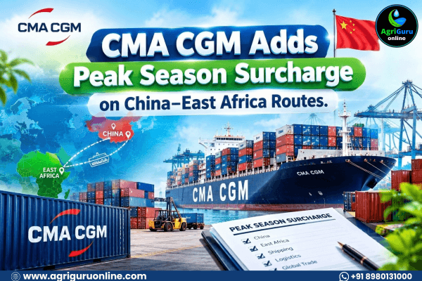 CMA CGM Adds Peak Season Surcharge on China–East Africa Routes.