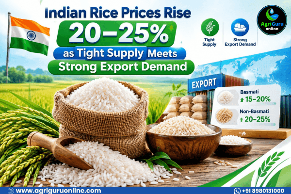 Indian Rice Prices Rise 20–25% as Tight Supply Meets Strong Export Demand