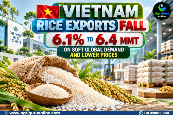 Vietnam Rice Exports Fall 6.1% to 6.4 MMT on Soft Global Demand and Lower Prices