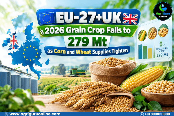 EU-27+UK 2026 Grain Crop Falls to 279 Mt as Corn and Wheat Supplies Tighten