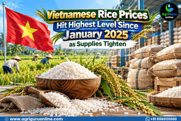 Vietnamese Rice Prices Hit Highest Level Since January 2025 as Supplies Tighten