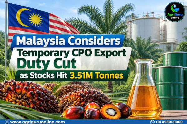 Malaysia Considers Temporary CPO Export Duty Cut as Stocks Hit 3.51M Tonnes