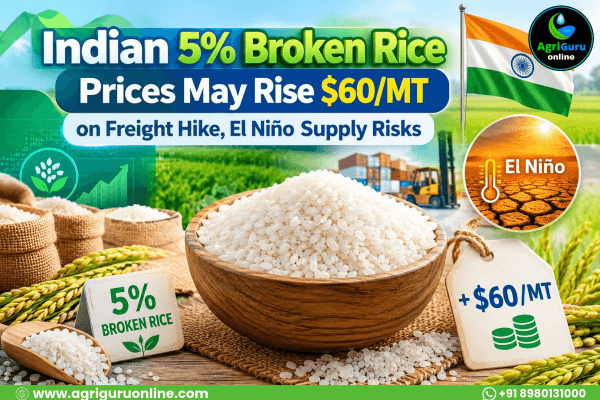Indian 5% Broken Rice Prices May Rise $60/MT on Freight Hike, El Niño Supply Risks