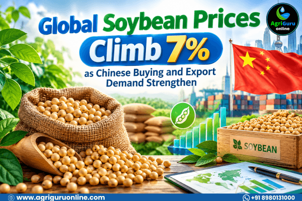 Global Soybean Prices Climb 7% as Chinese Buying and Export Demand Strengthen