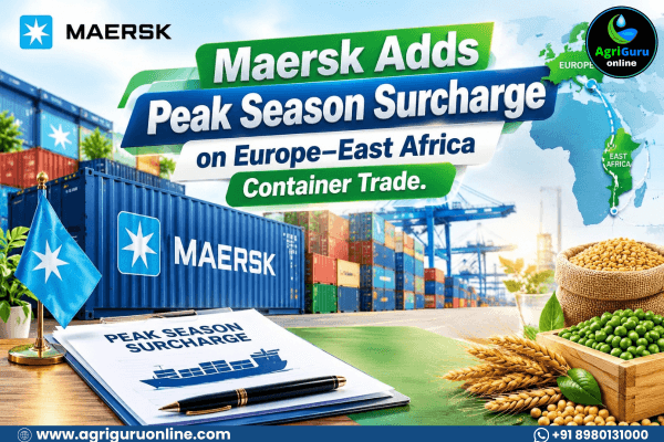 Maersk Adds Peak Season Surcharge on Europe–East Africa Container Trade