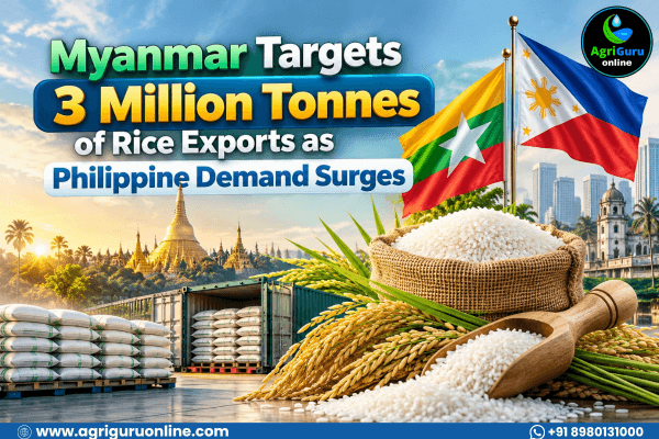 Myanmar Targets 3 Million Tonnes of Rice Exports as Philippine Demand Surges