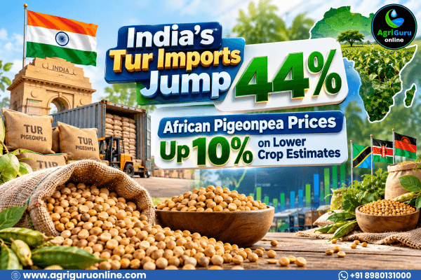 India's Tur Imports Jump 44%: African Pigeonpea Prices Up 10% on Lower Crop Estimates