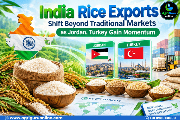India Rice Exports Shift Beyond Traditional Markets as Jordan, Turkey Gain Momentum