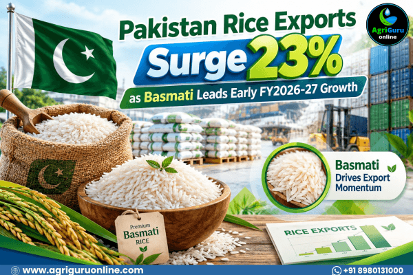 Pakistan Rice Exports Surge 23% as Basmati Leads Early FY2026-27 Growth