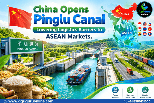 China Opens Pinglu Canal, Lowering Logistics Barriers to ASEAN Markets.
