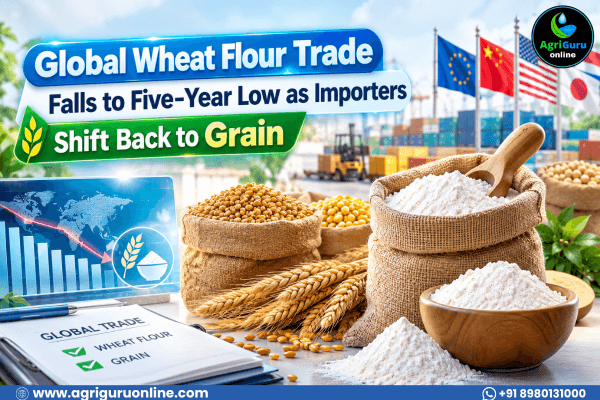 Global Wheat Flour Trade Falls to Five-Year Low as Importers Shift Back to Grain