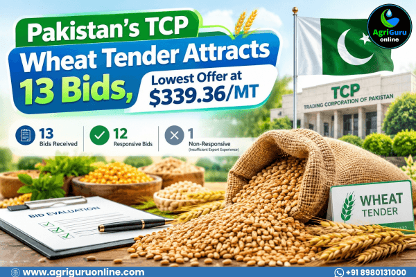 Pakistan’s TCP Wheat Tender Attracts 13 Bids, Lowest Offer at $339.36/MT