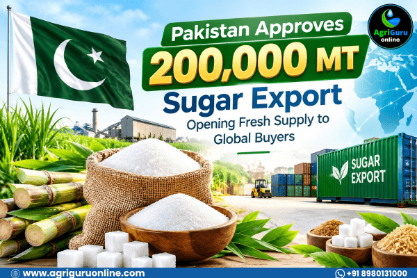 Pakistan Approves 200,000 MT Sugar Export, Opening Fresh Supply to Global Buyers