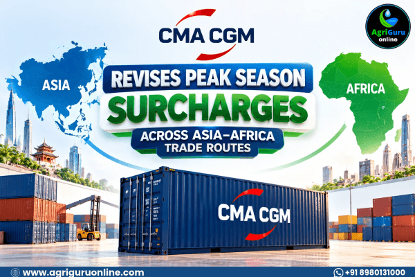 CMA CGM Revises Peak Season Surcharges Across Asia–Africa Trade Routes